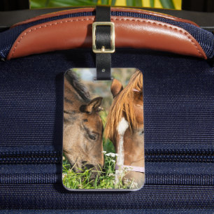 Cutest Baby Animals Horse Colt Luggage Tag