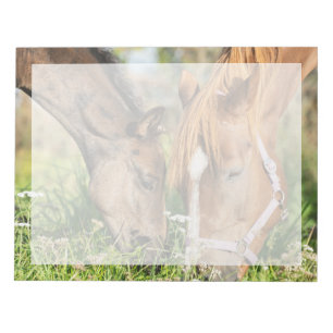 Cutest Baby Animals Horse Colt Notepad