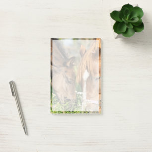 Cutest Baby Animals   Horse Colt Post-it Notes