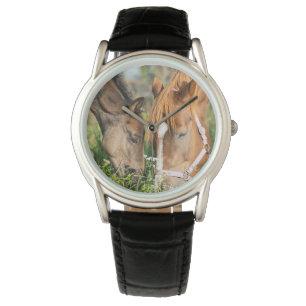 Cutest Baby Animals Horse Colt Watch