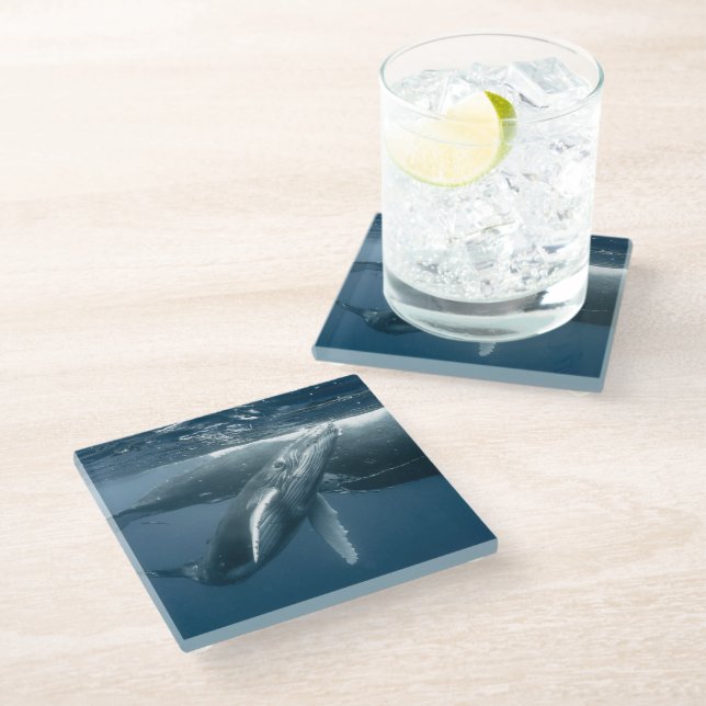 Cutest Baby Animals | Humpback Whale Calf Glass Coaster (Angled)