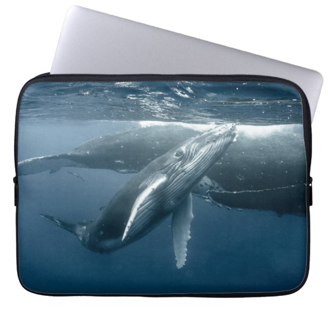Cutest Baby Animals | Humpback Whale Calf Laptop Sleeve (Front)