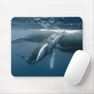Cutest Baby Animals   Humpback Whale Calf Mouse Pad