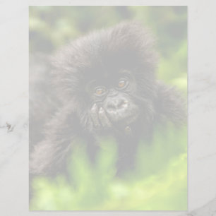 Cutest Baby Animals Infant Mountain Gorilla