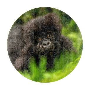 Cutest Baby Animals   Infant Mountain Gorilla Cutting Board