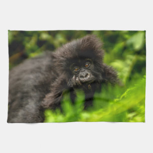 Cutest Baby Animals   Infant Mountain Gorilla Kitchen Towel