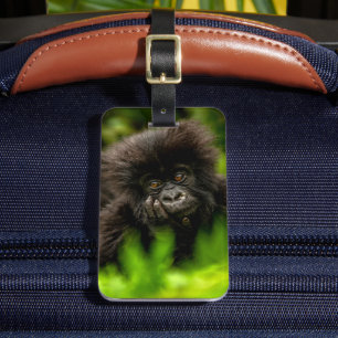 Cutest Baby Animals   Infant Mountain Gorilla Luggage Tag
