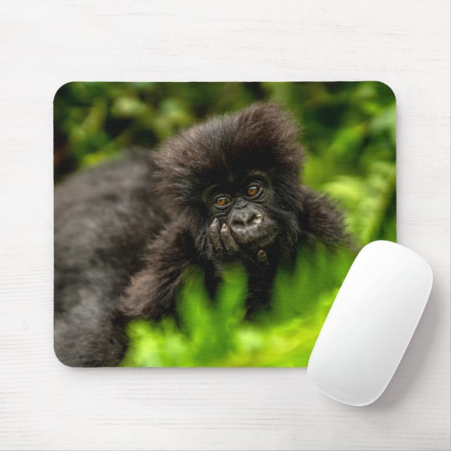 Cutest Baby Animals | Infant Mountain Gorilla Mouse Pad (With Mouse)