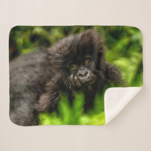 Cutest Baby Animals Infant Mountain Gorilla Sherpa Blanket