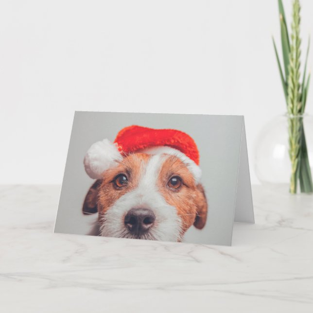 Cutest Baby Animals | Jack Russell Dog Santa Claus Card (Front)