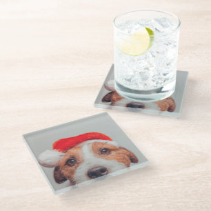 Cutest Baby Animals   Jack Russell Dog Santa Claus Glass Coaster