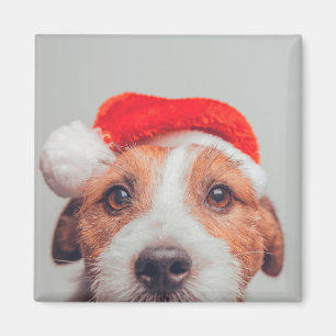 Cutest Baby Animals Jack Russell Dog Santa Claus Magnet