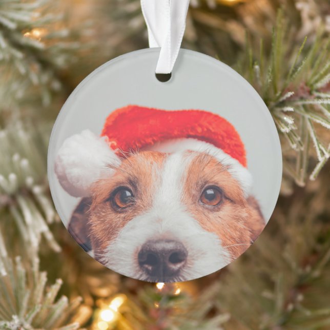 Cutest Baby Animals | Jack Russell Dog Santa Claus Ornament (Tree)