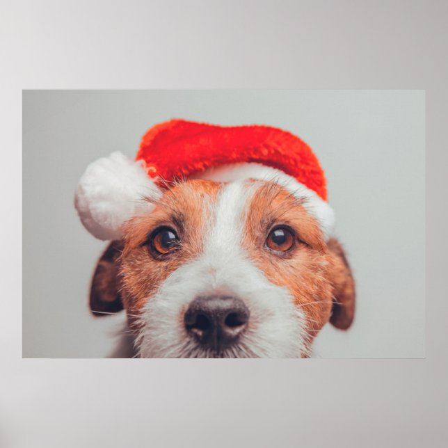 Cutest Baby Animals | Jack Russell Dog Santa Claus Poster (Front)