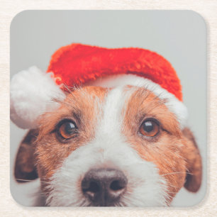 Cutest Baby Animals Jack Russell Dog Santa Claus Square Paper Coaster