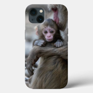 Cutest Baby Animals   Japanese Monkey & Baby iPhone 13 Case