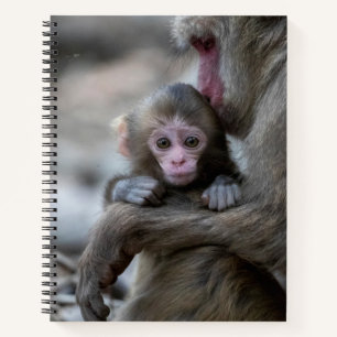 Cutest Baby Animals   Japanese Monkey & Baby Notebook