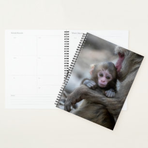 Cutest Baby Animals   Japanese Monkey & Baby Planner