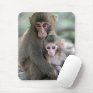 Cutest Baby Animals   Japanese Monkeys Mouse Pad