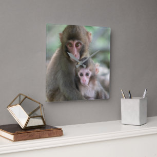 Cutest Baby Animals   Japanese Monkeys Square Wall Clock