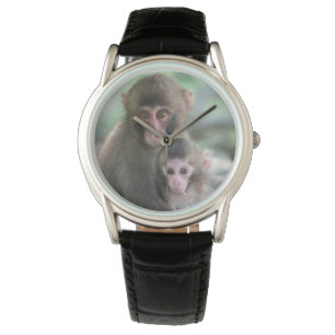 Cutest Baby Animals   Japanese Monkeys Watch