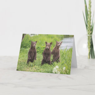 Cutest Baby Animals Kamchatka Brown Bear Cubs Card
