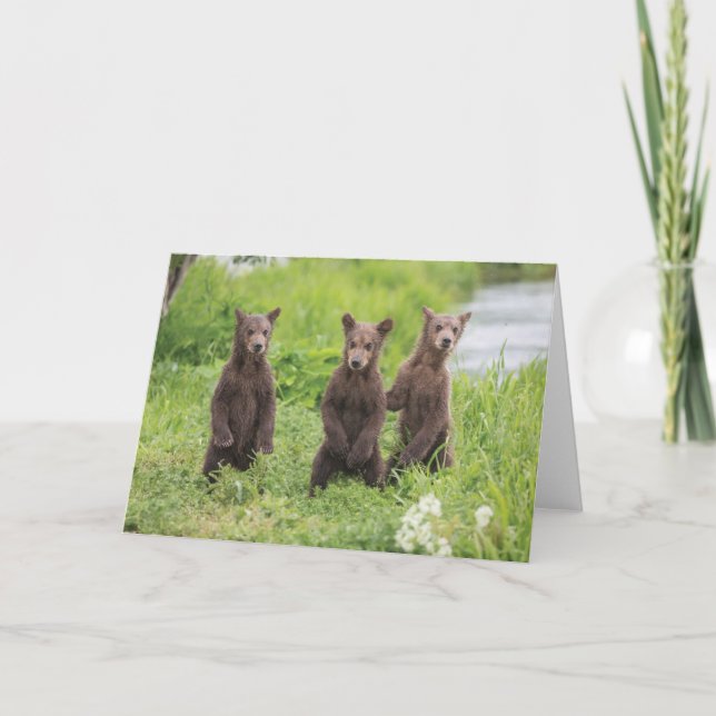 Cutest Baby Animals | Kamchatka Brown Bear Cubs Card (Front)