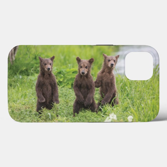 Cutest Baby Animals | Kamchatka Brown Bear Cubs Case-Mate iPhone Case (Back (Horizontal))