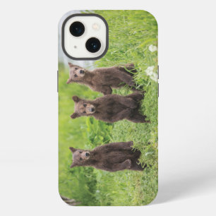Cutest Baby Animals Kamchatka Brown Bear Cubs iPhone 13 Case