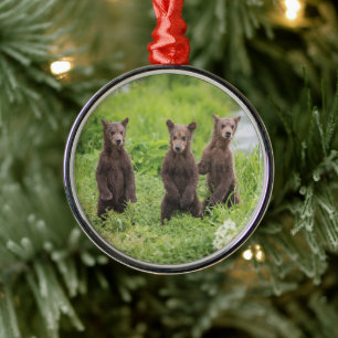 Cutest Baby Animals   Kamchatka Brown Bear Cubs Metal Ornament