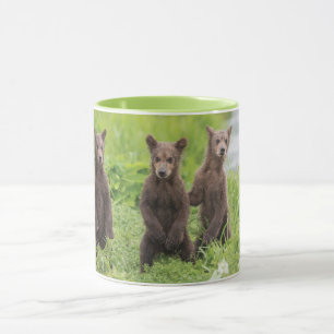 Cutest Baby Animals   Kamchatka Brown Bear Cubs Mug