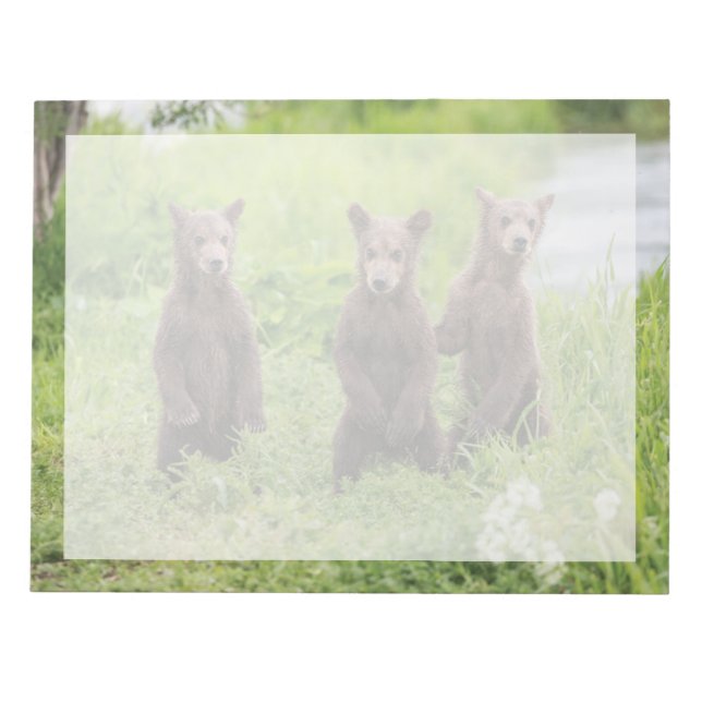Cutest Baby Animals | Kamchatka Brown Bear Cubs Notepad (Front)