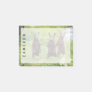 Cutest Baby Animals   Kamchatka Brown Bear Cubs Post-it Notes