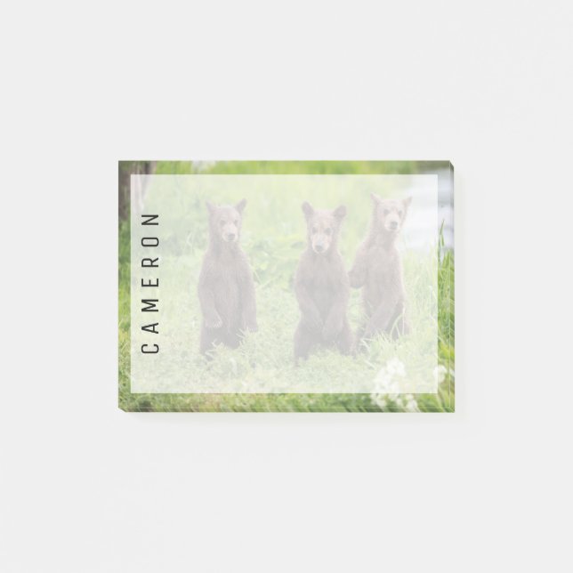 Cutest Baby Animals | Kamchatka Brown Bear Cubs Post-it Notes (Front)