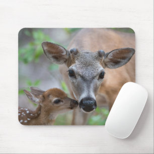 Cutest Baby Animals Key Deer Stag & Fawn Mouse Pad