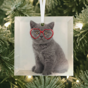 Cutest Baby Animals Kitten Heart Glasses Glass Ornament