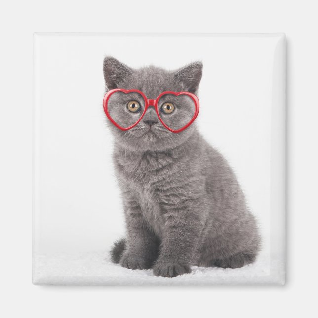 Cutest Baby Animals | Kitten Heart Glasses Magnet (Front)