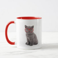 Cutest Baby Animals | Kitten Heart Glasses