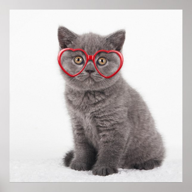 Cutest Baby Animals | Kitten Heart Glasses Poster (Front)