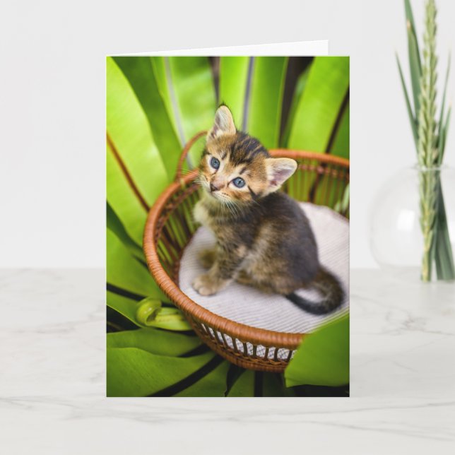Cutest Baby Animals | Kitten in Basket Card (Front)