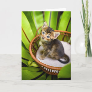 Cutest Baby Animals   Kitten in Basket Card
