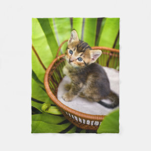 Cutest Baby Animals Kitten in Basket Fleece Blanket