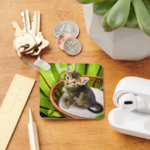 Cutest Baby Animals Kitten in Basket Keychain