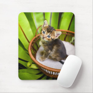Cutest Baby Animals Kitten in Basket Mouse Pad