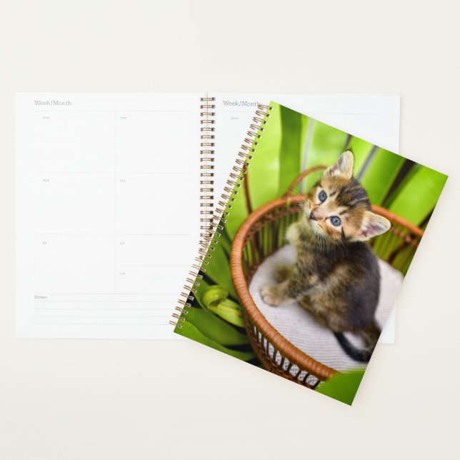 Cutest Baby Animals | Kitten in Basket Planner (Display)