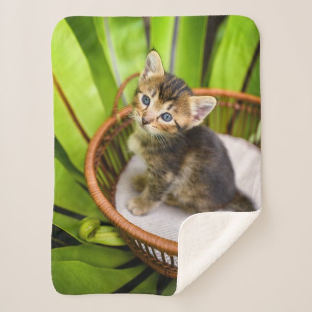 Cutest Baby Animals | Kitten in Basket Sherpa Blanket (Front)