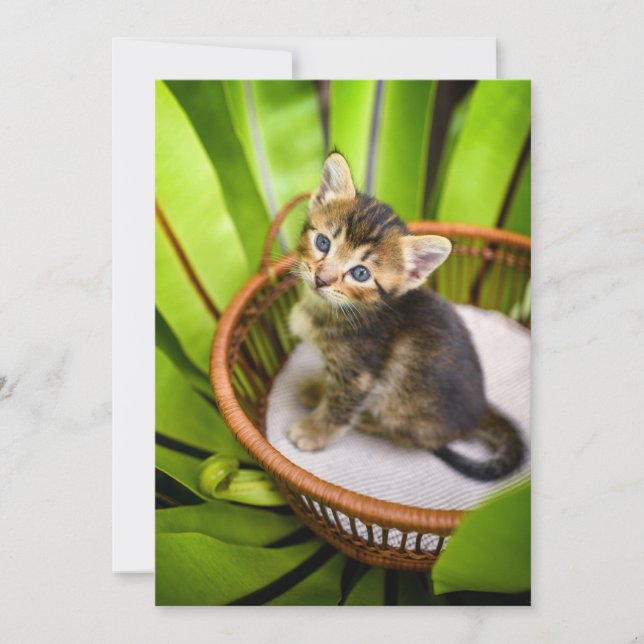 Cutest Baby Animals | Kitten in Basket Thank You Card (Front)