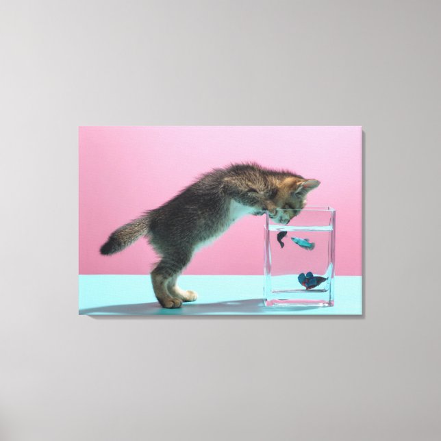 Cutest Baby Animals | Kitten Looking at Fish Bowl Canvas Print (Front)
