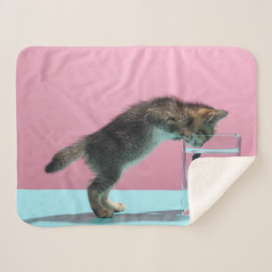 Cutest Baby Animals Kitten Looking at Fish Bowl Sherpa Blanket