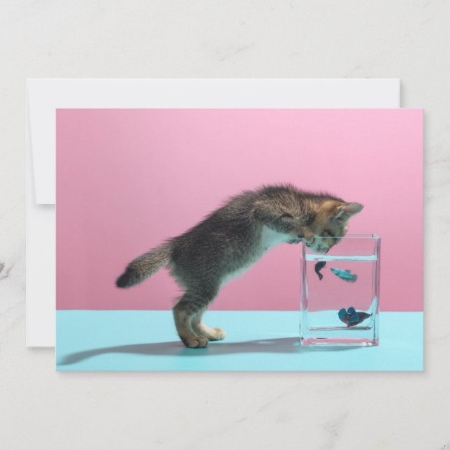 Cutest Baby Animals | Kitten Looking at Fish Bowl Thank You Card (Front)
